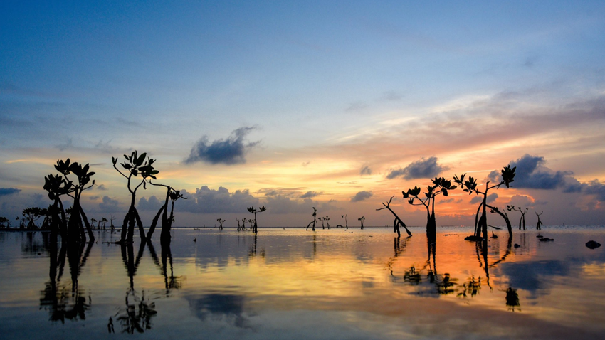 Playa Virgen - Isla Blanca Cancún - Playas en Cancún - Viajes Cancún | Estación Cancún