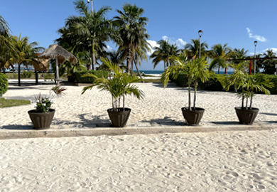 Playa Langosta Cancún - Vacaciones Cancún - Espacio libre